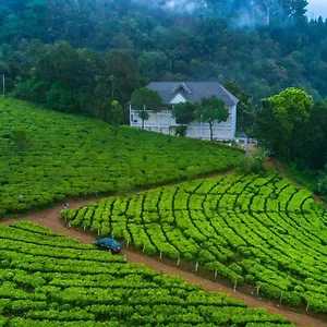 Отель Tea Harvester